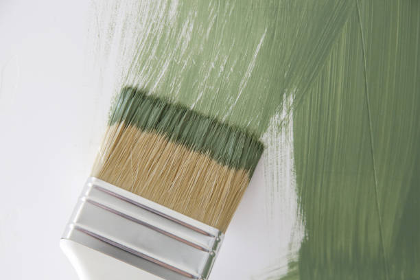 Best Water Damage & Mold Remediation  in Princeton, MN