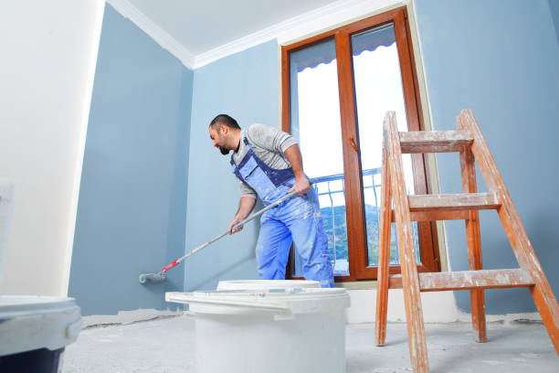 Best HVAC Mold Inspection and Cleaning  in Princeton, MN