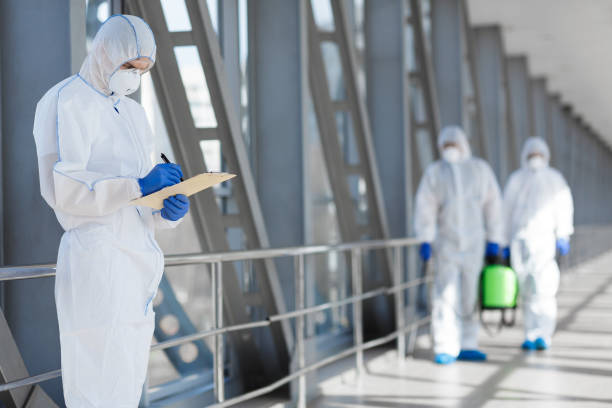 Environmental Consulting for Mold Prevention in Princeton, MN