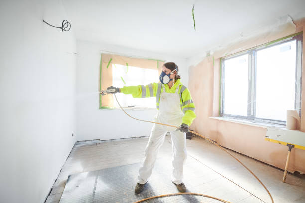Princeton, MN Mold Removal Company