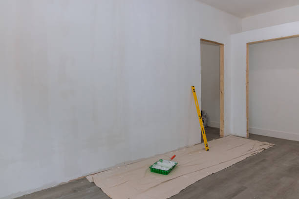 Best Industrial Mold Remediation  in Princeton, MN