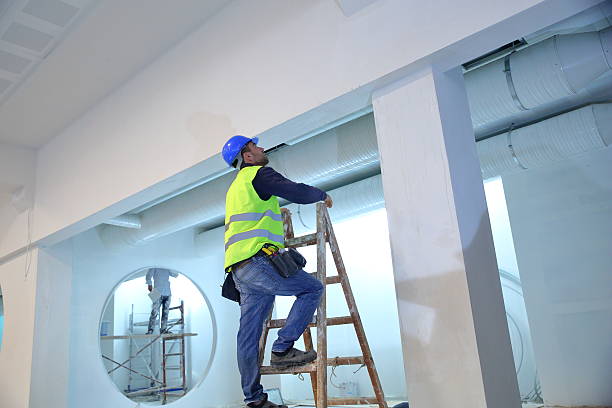 Best Black Mold Removal  in Princeton, MN