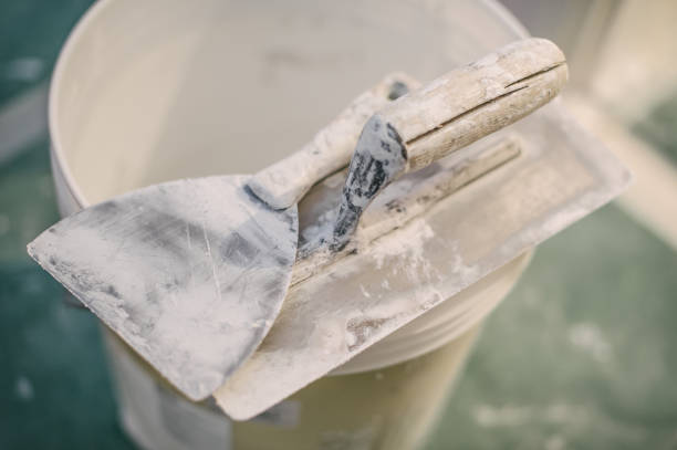 Best Mold-Related Health Consultation  in Princeton, MN