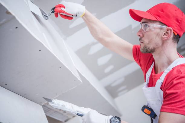 Best Emergency Mold Remediation  in Princeton, MN