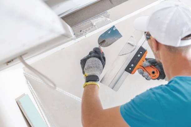 Best Attic Mold Removal  in Princeton, MN